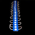 12V 2.4W Waterproof Coin COB LED Module with Clear Lens