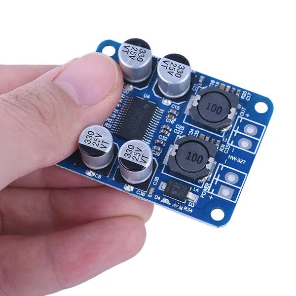 [Type 1] TPA3118 (1X60W) Mono Digital Power Amplifier Board Module image 1